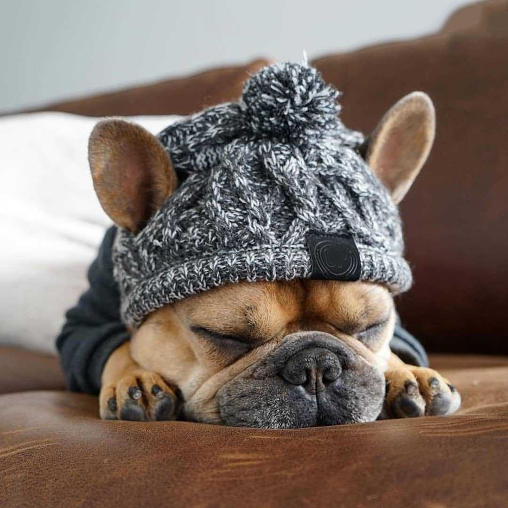Dog Knitted Hat Headwear Fluffy Ball Pet Hat Winter Windproof Knitting Dog Beanies Cap Soft Warm Crochet Knit Hat for Dogs Cats