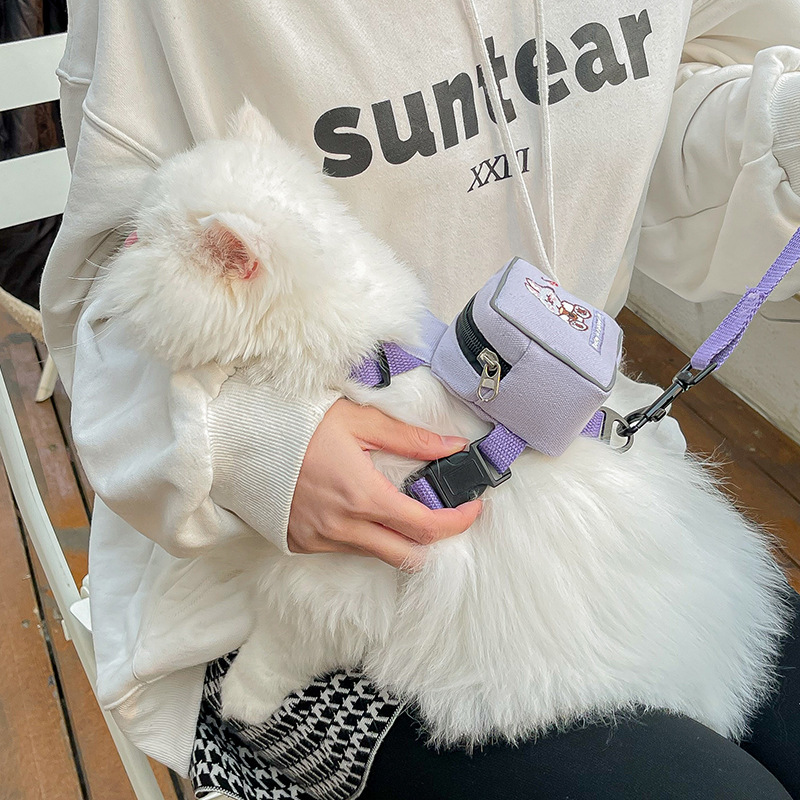 Pet Harness and Leash Escape Proof,Dog Backpack Harness,Cute Adjustable Dog Walking Harness with Pocket,Soft Chihuahua Harness