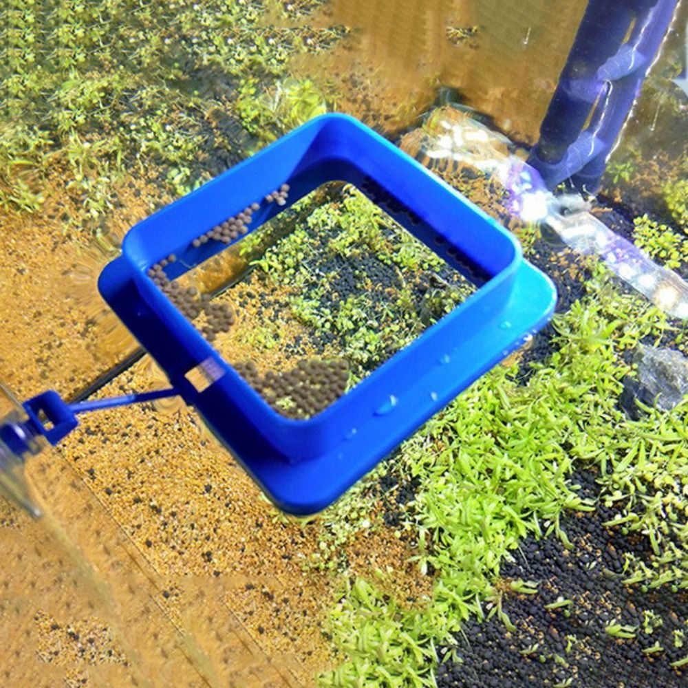 Fish Feeding Supplies Thicken Plastic Buoyancy Circle for Aquarium Floating Food Feeder Square/Round Feeding Ring