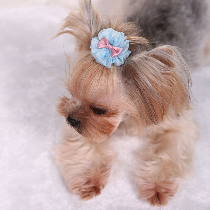 Pet Hairpin Cute Solid Color Flower Shaped Puppy Hair Clip Kitten Hair Grooming Decoration Chihuahua Dog Accessories