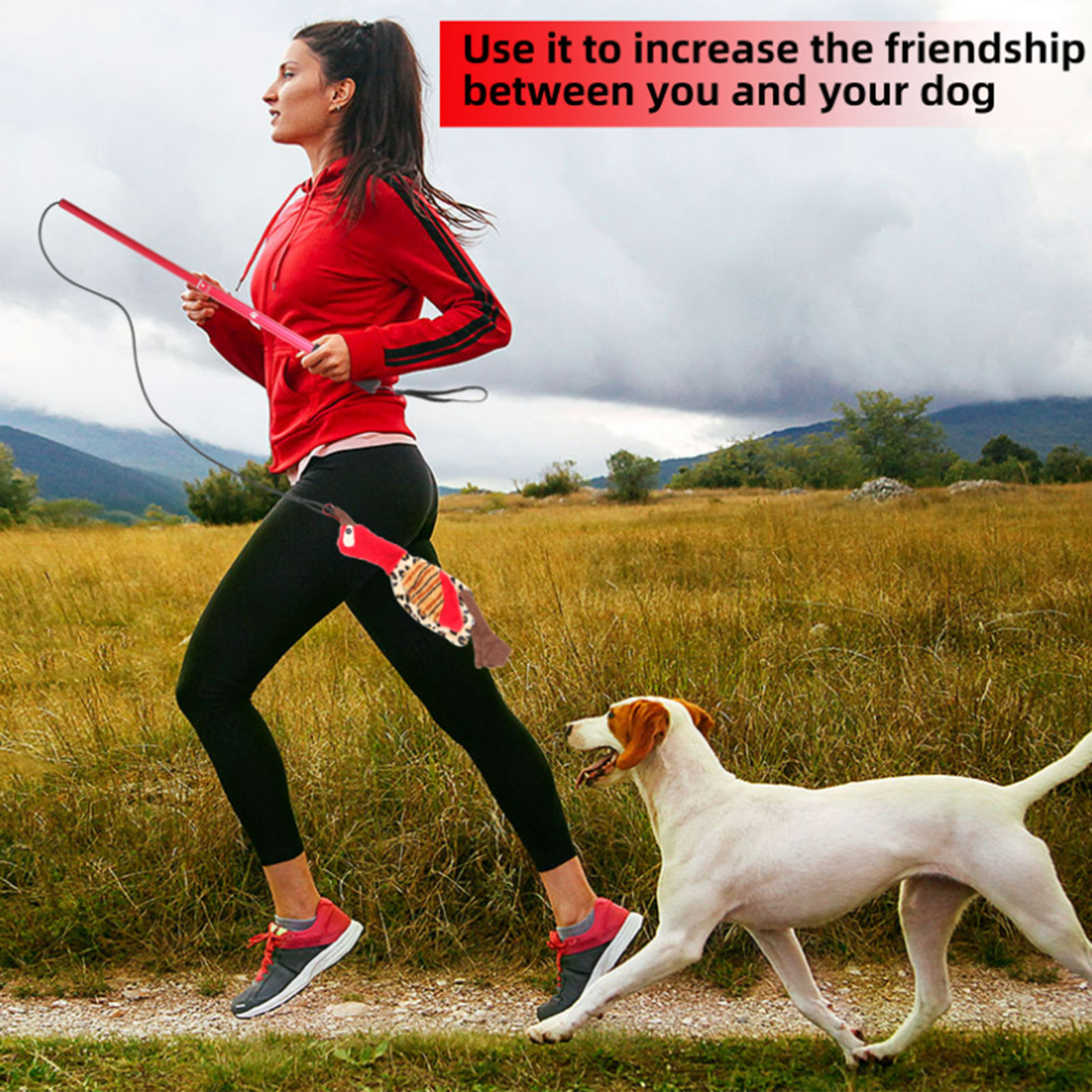 Flirt Pole For Dogs Tug-e-nuff Rope Toy With Flexible Nylon Rope & Non-slipping Handle & 2 Plush Toys Outdoor Interactive Toy