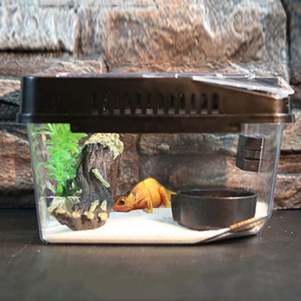 Transparent Plastic Turtle Reptile Carrier Cases Anti-escape Tank Gecko Snail Convenient Habitat Box Tarantulas Pets Supplies