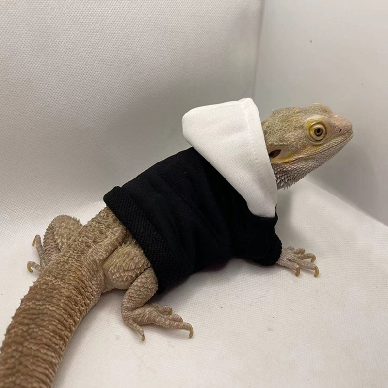 Lizards Clothes for Bearded Dragon Geckos Reptiles Apparel Hand-made Hoodies Skin Protection Sweater Coat for Party