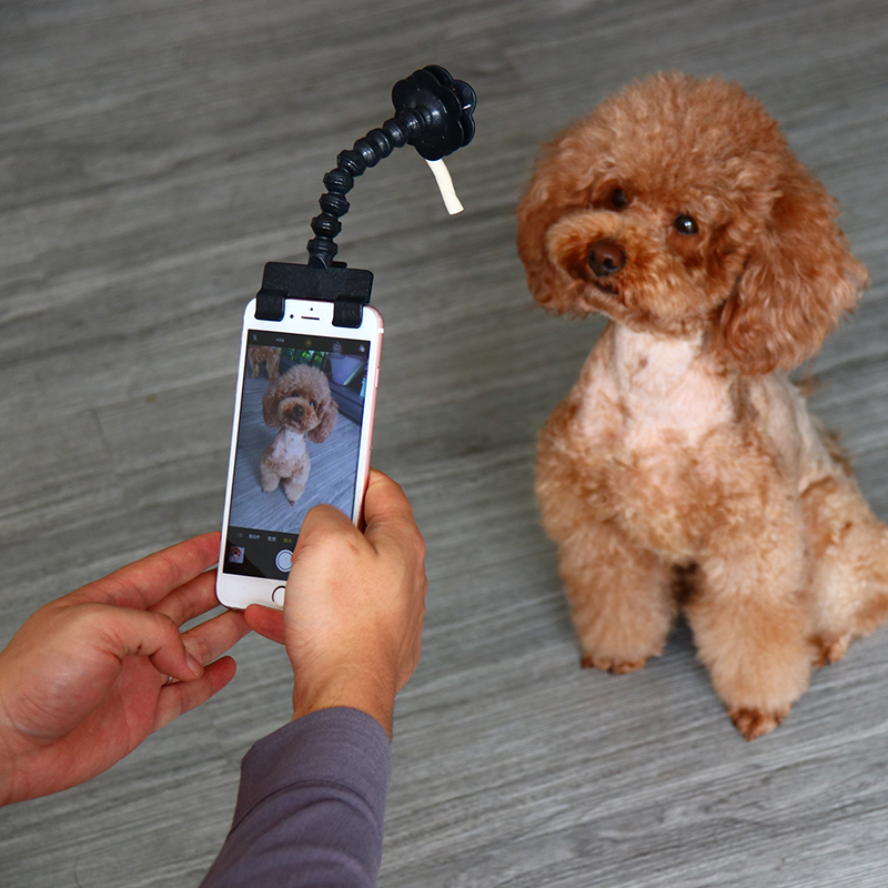 Pet Selfies Stick Smartphone Attachment Cat Dog Selfie Stick Take Selfies or Portraits of Your Pet Take Photos Training Toy