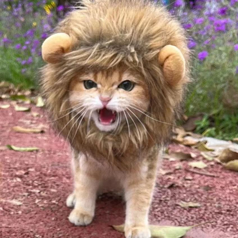 Lion Mane Wig for Cats, Pet Halloween Costume Cat Puppy Wig, Adjustable Washable, Cute Pet Hat for Cat Dog Costume Pet (Medium) N09