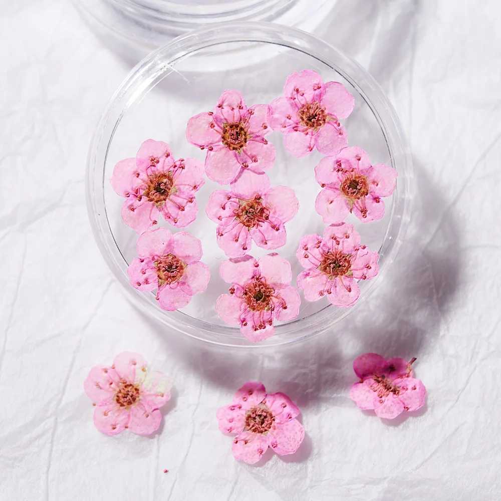 16 color natural mini dried flower nail charm 10pcs Y2K 3D dried flower nail art parts DIY sheet for ergonomic products W240829
