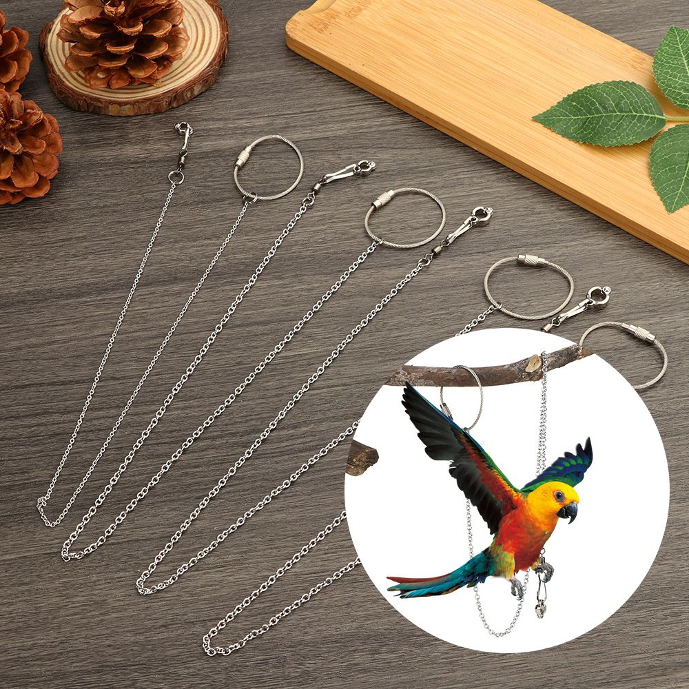 4 Size Stainless Steel Parrot Foot Chain Ankle Foot Ring Stand Chain Flying Training Bird's Foot Ring Anklet Bird Accessories