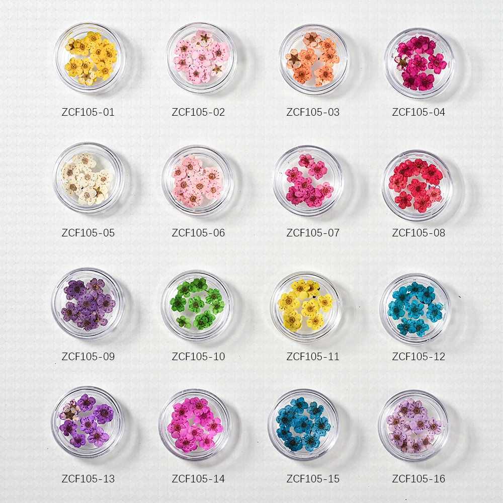 16 color natural mini dried flower nail charm 10pcs Y2K 3D dried flower nail art parts DIY sheet for ergonomic products W240829