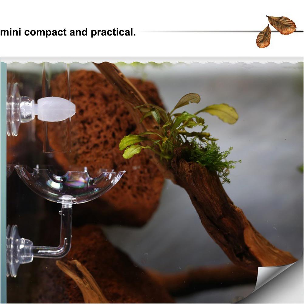 Aquarium Accessories Acrylic Shrimp Feeder Fish Bowl Plastic Tanks for Fish Farming Transparent Sustainable E-commerce Stores