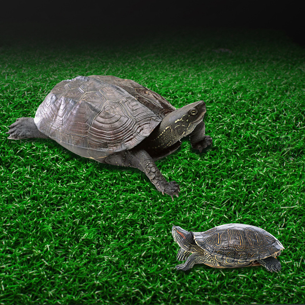 Fish Tank Decoration Turtle Basking Platform Suction Cup Tortoise Climbing Ladder Simulated Lawn Landscaping Drying Floating