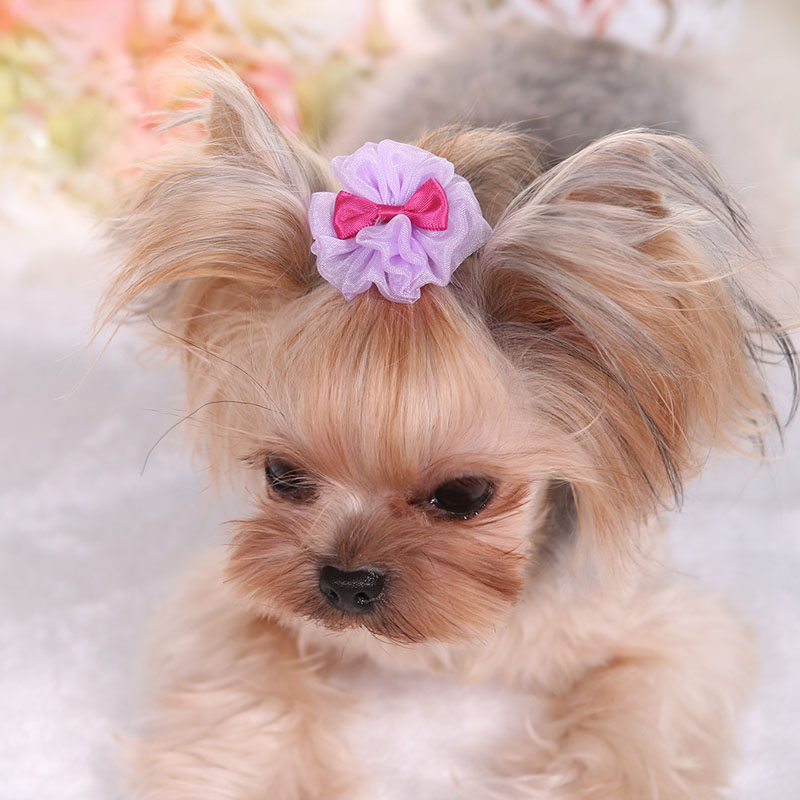 Pet Hairpin Cute Solid Color Flower Shaped Puppy Hair Clip Kitten Hair Grooming Decoration Chihuahua Dog Accessories