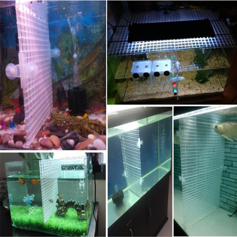 1PCS Grid Isolate Board Plastics Divider Filter Isolation Net Fish Tank Bottom Tray Separator Plate Aquarium Accessories /Sucker