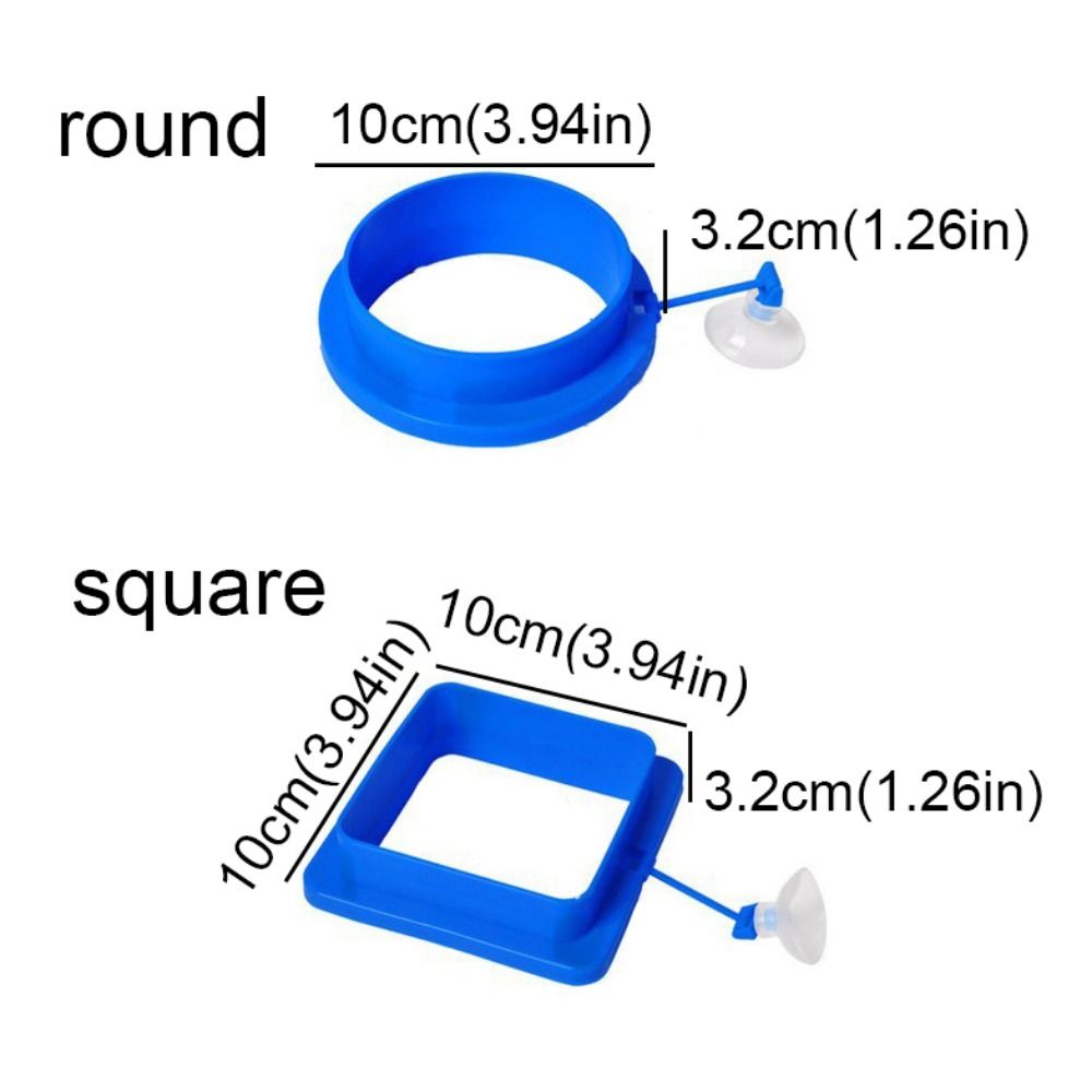 Fish Feeding Supplies Thicken Plastic Buoyancy Circle for Aquarium Floating Food Feeder Square/Round Feeding Ring