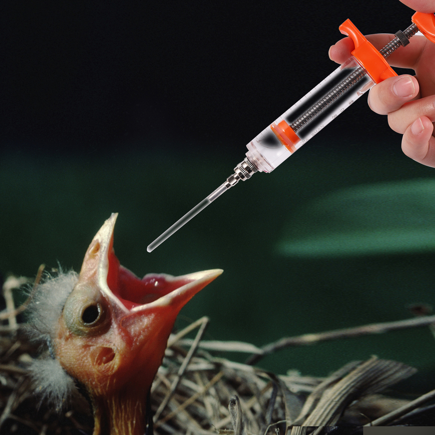 Fledgling Feeding Syringe Manual Feeding Rearing Gavage Silicone Feeding Hose Medication Tube Small Pet Parrot Feeding Syringe