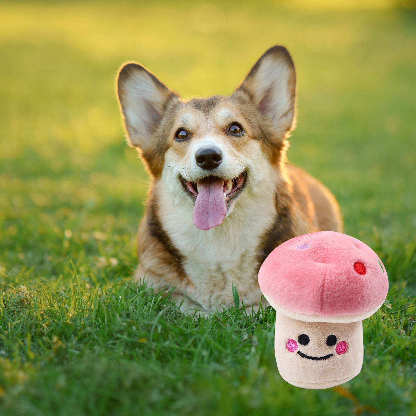 Plush Dog Toy Cartoon Mushroom Shaped Bite Resistant Teeth Grinding Reduce Boredom Interactive Puppy Chew Toy