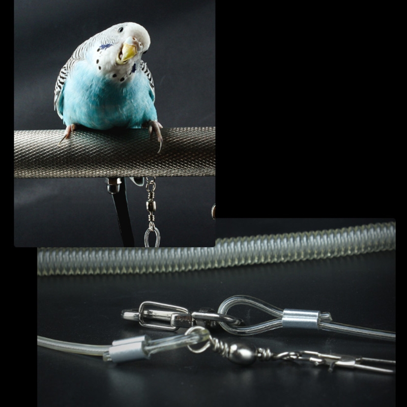 6m Flexible Parrot Bird Harness Leash with Leg Ring Anti-bite Outdoor Flying Training Rope for Birds Parakeet Cockatoo Cockatiel