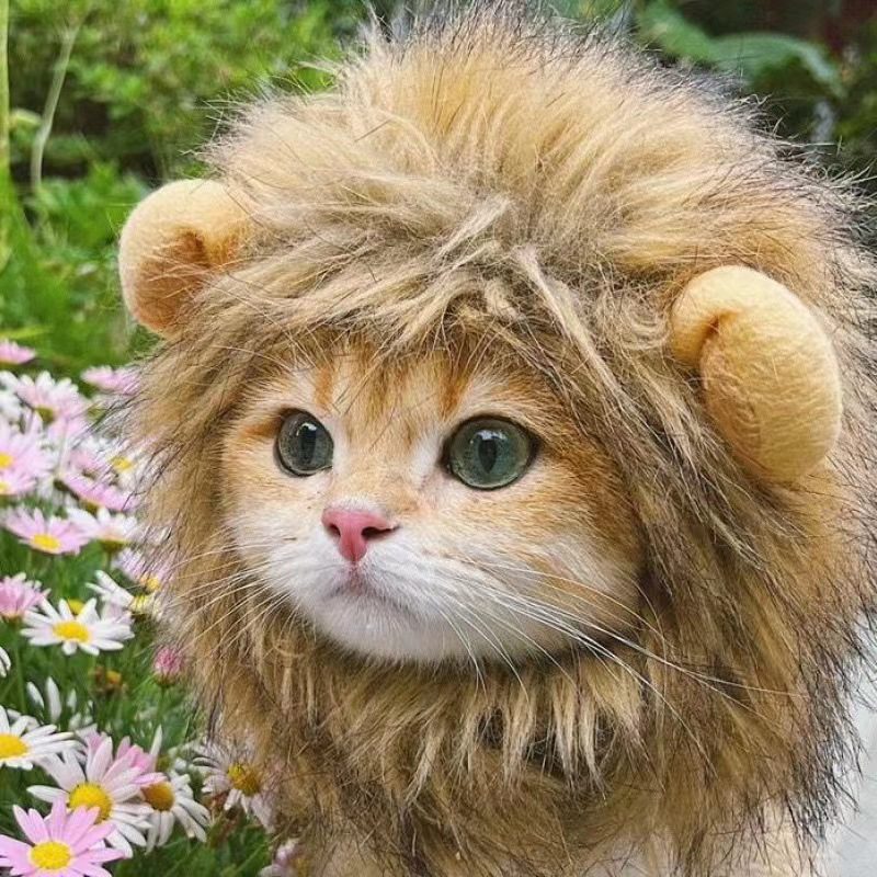 Lion Mane Wig for Cats, Pet Halloween Costume Cat Puppy Wig, Adjustable Washable, Cute Pet Hat for Cat Dog Costume Pet (Medium) N09
