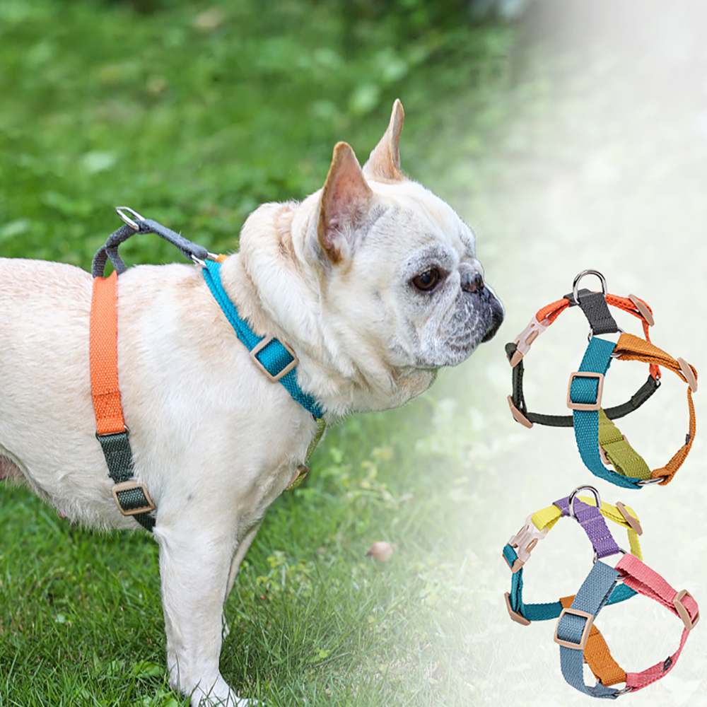 Dog Harness – Easy on And Off,No Choke Dog Walking Dog Harness,adjustable Escape Proof Dog Harness for Small Medium Large Dogs