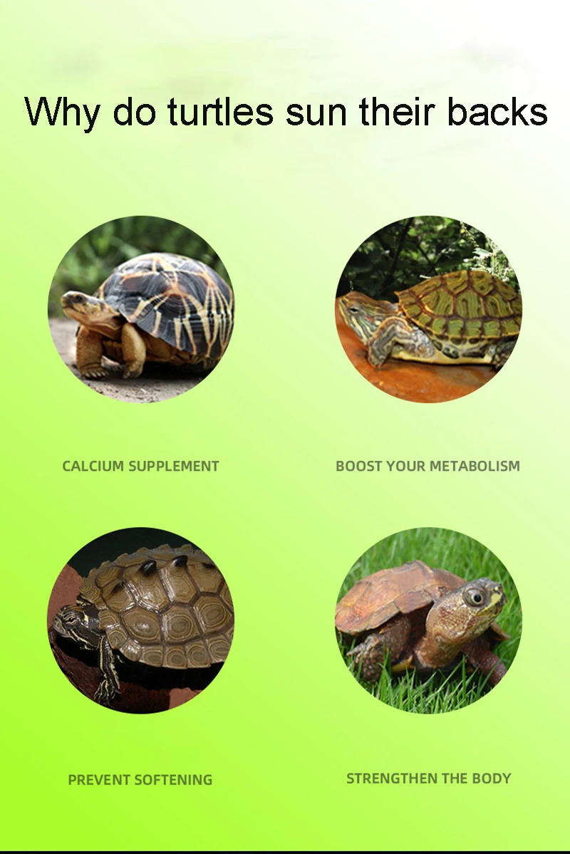 Turtle Basking Platform Suction Cup Habitat Simulation Lawn Ramp Turtle Dock Floating Island For Reptile Terrarium Accessory