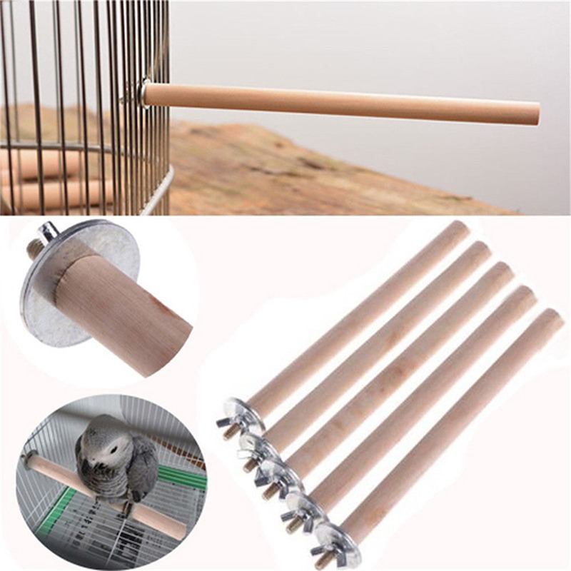 Pet Bird Toys Skewer Fruit Spear Hanging Holder Pet Parrot Parakeet Meat Feeding Fork Stainless Steel Stick For Vegetable Skewer