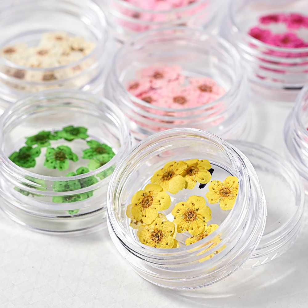 16 color natural mini dried flower nail charm 10pcs Y2K 3D dried flower nail art parts DIY sheet for ergonomic products W240829