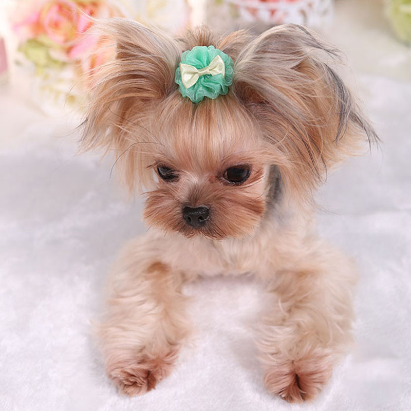 Pet Hairpin Cute Solid Color Flower Shaped Puppy Hair Clip Kitten Hair Grooming Decoration Chihuahua Dog Accessories