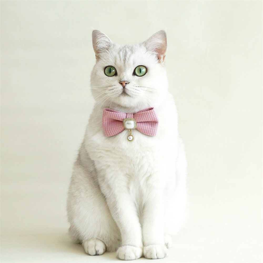 Bow Pet Collar Adjustable Cat Collar with Pearl Pendant Decoration Suitable for Cats Kitten and Puppies Accessories Pet Supplies