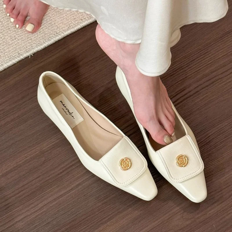 Women's 2024 Spring Pumps Fashion Slip On Low Heels Ladies Elegant Pointed Toe Mary Jane Shoes fa9d