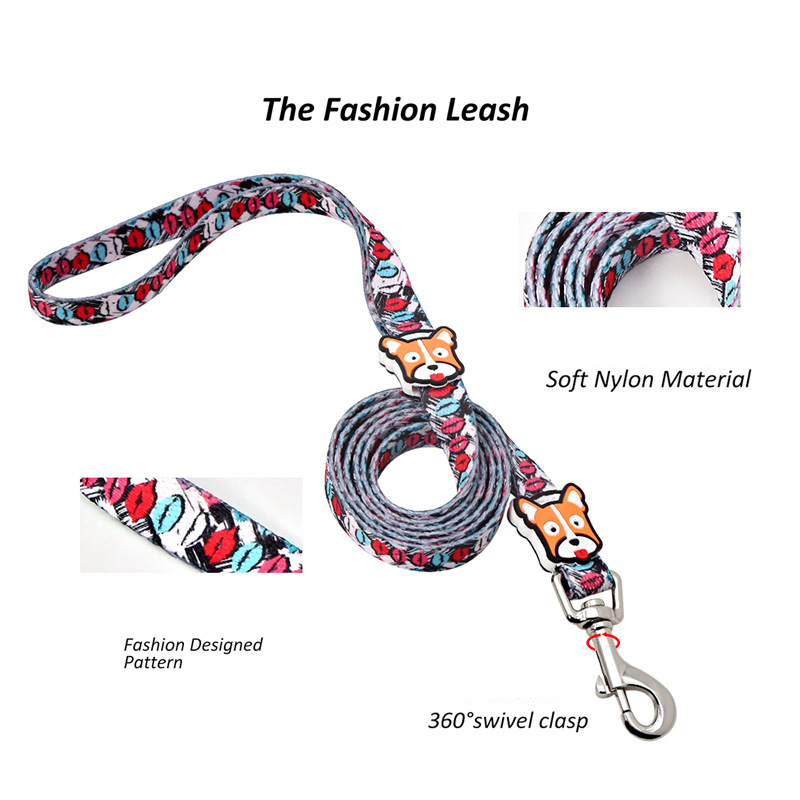 Nylon Dog Collar Leash Small and Medium Dog Walking Leash Adjustable Colorful Dog Collar and Leash Set Pet Supplies Accessories