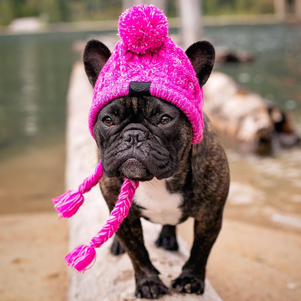 Dog Knitted Hat Headwear Fluffy Ball Pet Hat Winter Windproof Knitting Dog Beanies Cap Soft Warm Crochet Knit Hat for Dogs Cats