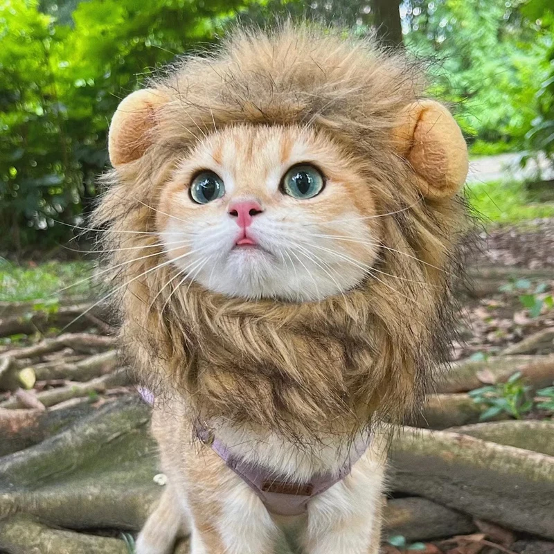 Lion Mane Wig for Cats, Pet Halloween Costume Cat Puppy Wig, Adjustable Washable, Cute Pet Hat for Cat Dog Costume Pet (Medium) N09