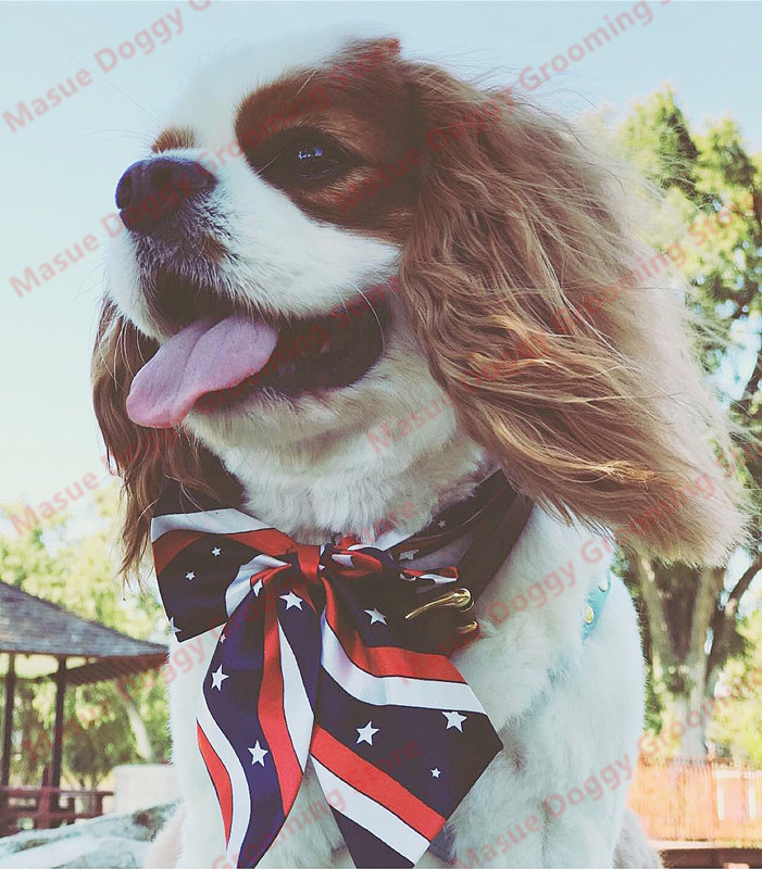 Bulk Dog Bow Tie For Big Dog Bowties Neckties Solid Dog Pet Grooming For Dog Wedding Supplies Dog Accessories For Small Dogs