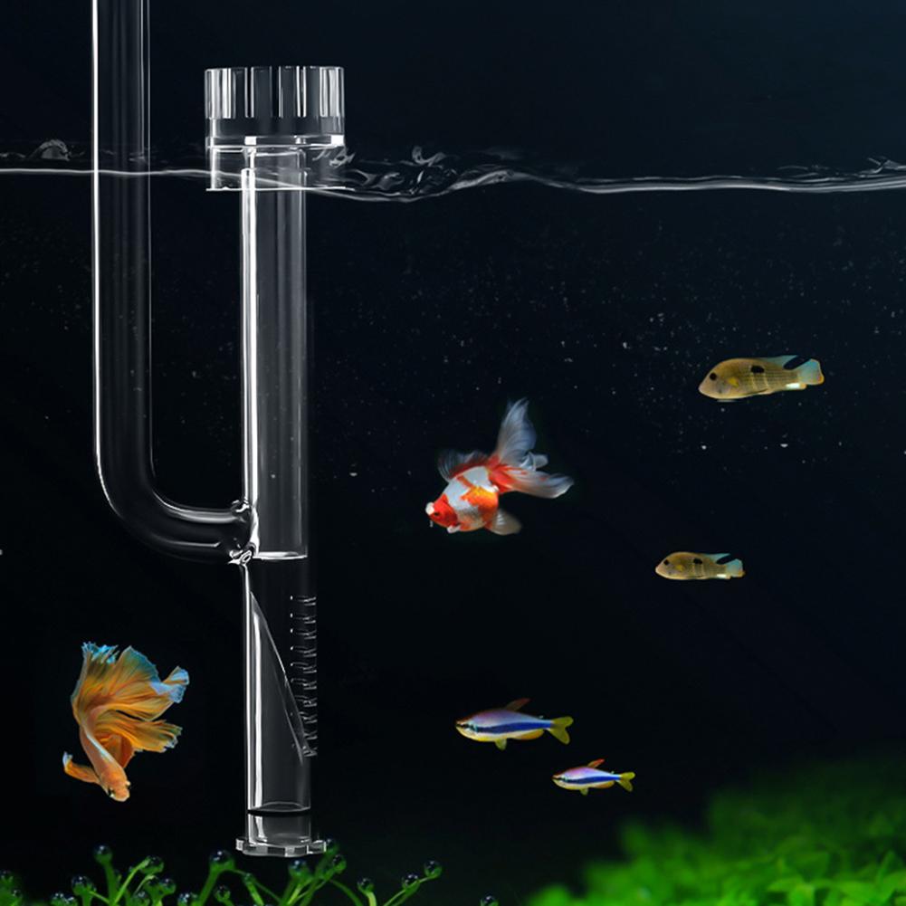 Mini Glass Lily Pipe Skimmer Inflow Filter System Aquarium Fish Tank Supplies Accessories