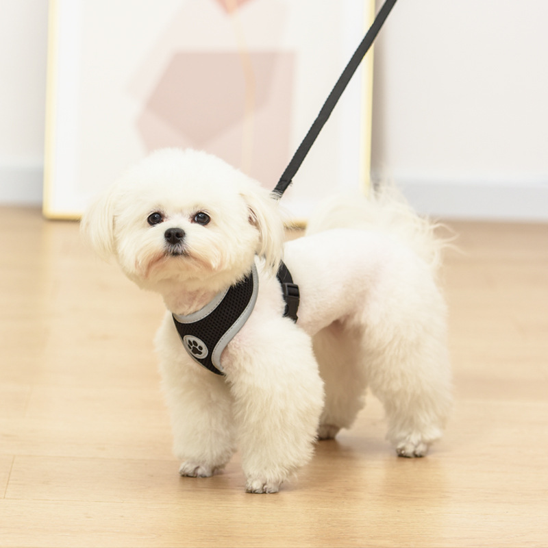 Cat Vest Harness Adjustable Cat Harness & Leash Set Stylish Escape Proof Breathable Pet Harness with Reflective Trim Cat Harness