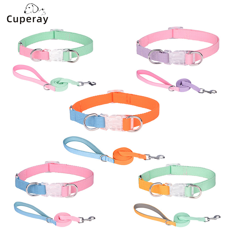 Macaron Color Pet Collar and Leash Set,Adjustable Dog Collar with Matching Dog Leash Comfortable Handle for Dog Walking Supplies