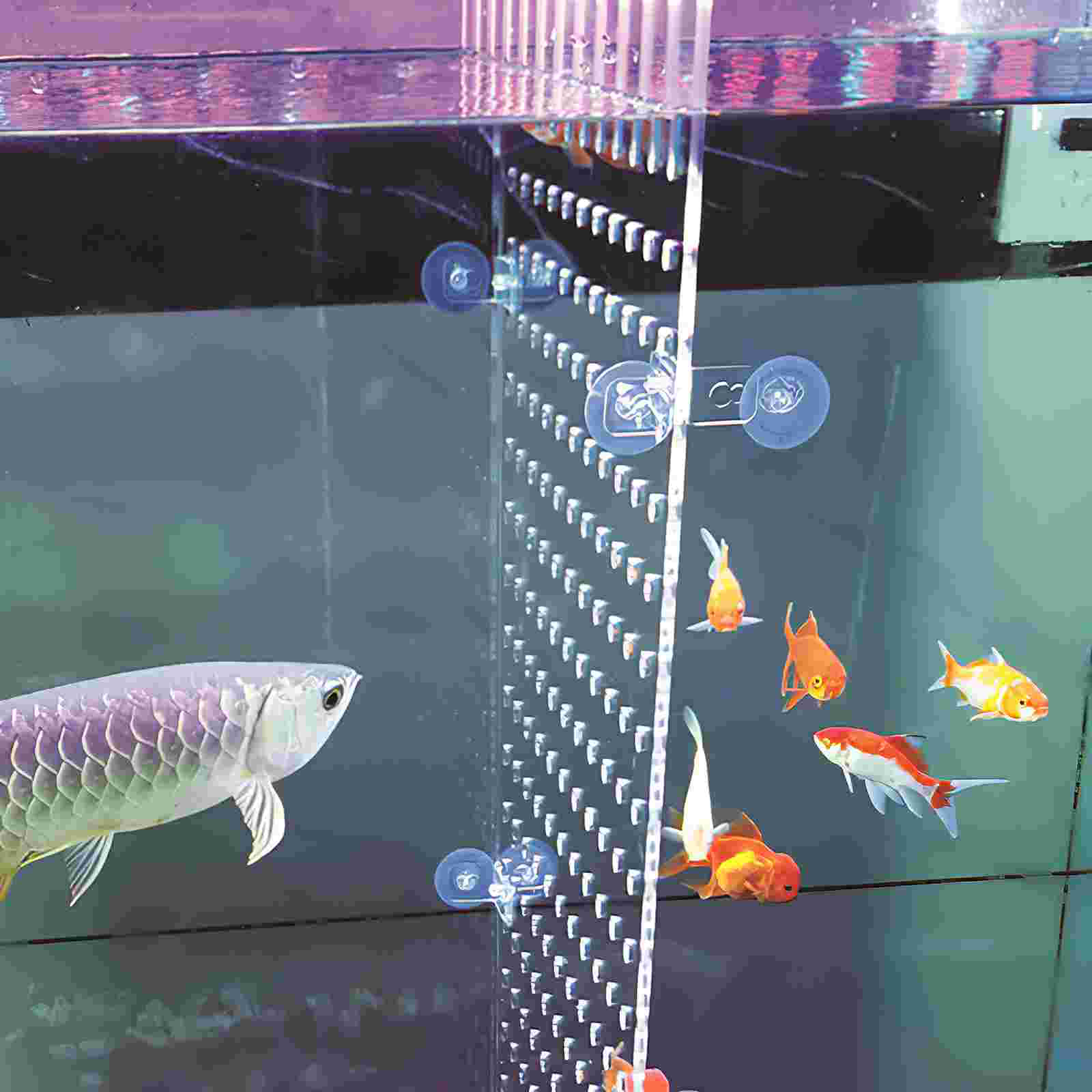 Fish Tank Isolation Board Divider Acrylic Partition Plate Accessory Suction Cup Aquarium Baby