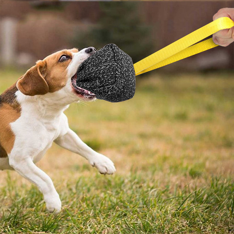 High Quality Thickened Nylon Webbing Pet Biting Pillow Grinding Teeth Pouncing Training Interactive Large Dog Toy