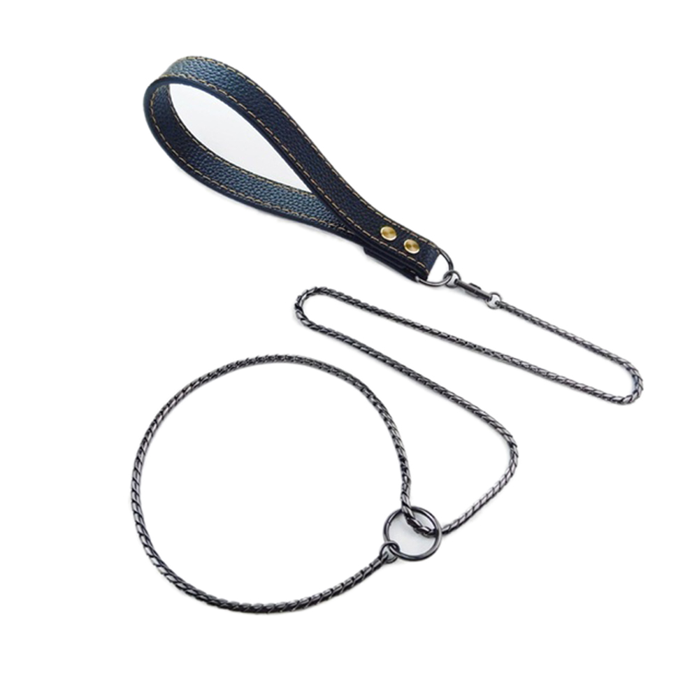 Stainless Steel Dog Slip Lead Dog Chain Leash for Small and Big Dogs No Pull Puppy Pet Training Leash Slip Chain Collar for Dogs