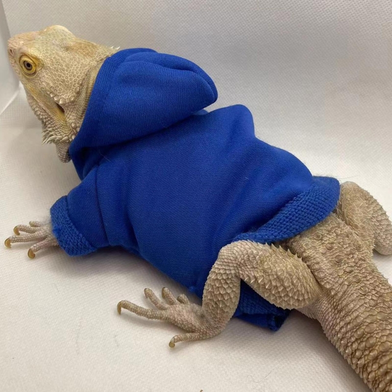 Lizards Clothes for Bearded Dragon Geckos Reptiles Apparel Hand-made Hoodies Skin Protection Sweater Coat for Party