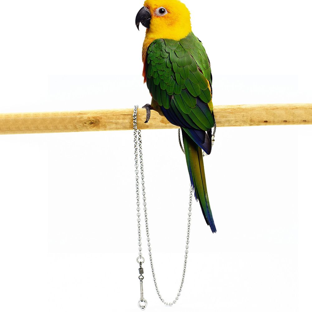 4 Size Stainless Steel Parrot Foot Chain Ankle Foot Ring Stand Chain Flying Training Bird's Foot Ring Anklet Bird Accessories