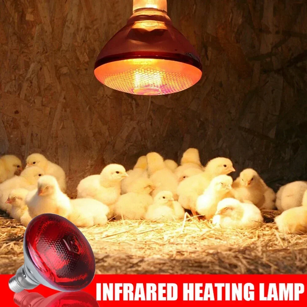 220V Poultry Heating Bulb 100/150/200/275W Infrared Insulation Heat for Reptiles Plants Amphibians Pets Livestock