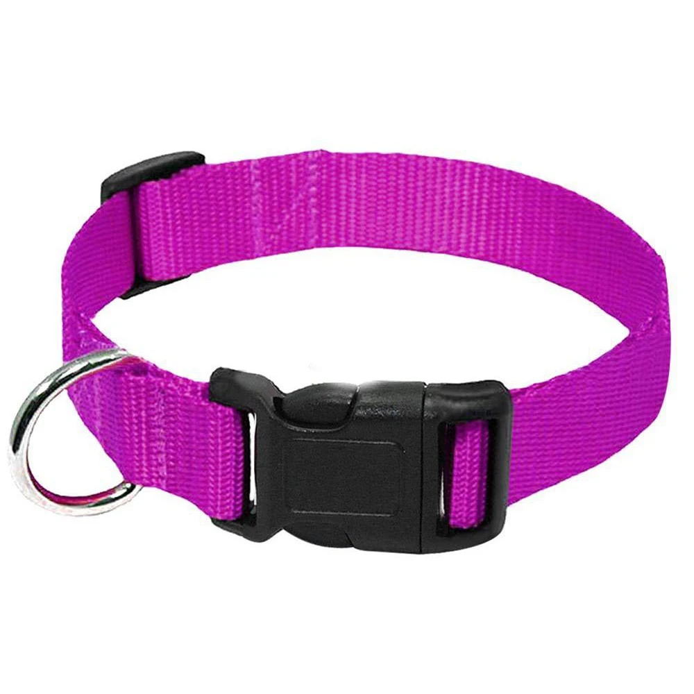 Adjustable Nylon Collar Strong and Durable Pet Collar with D-ring To Hang Dog Tags and Small Items for Small Medium Large Dogs