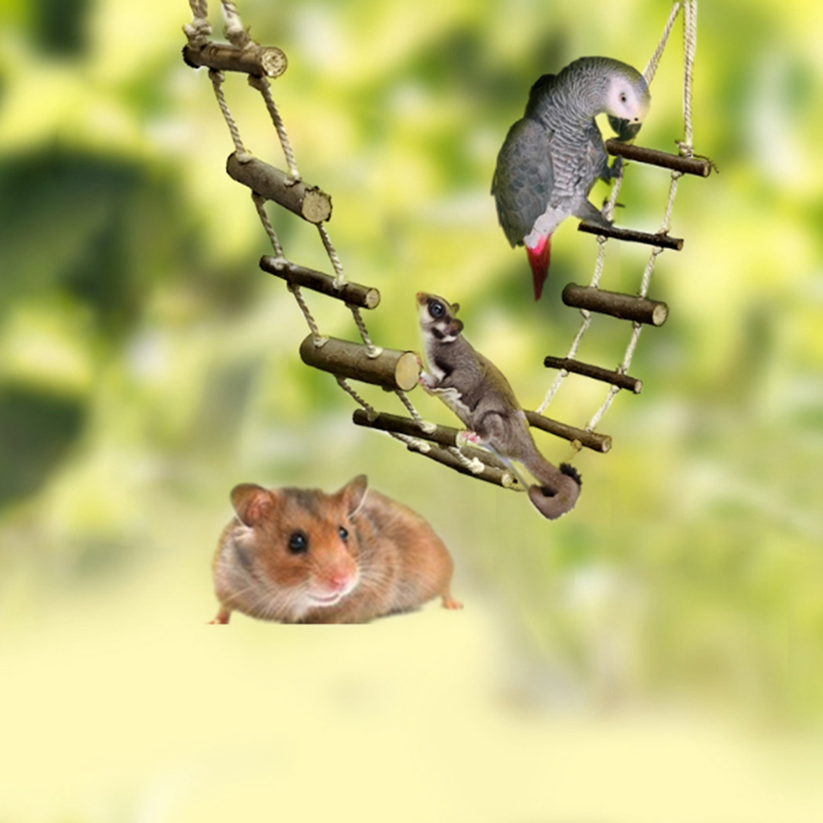 Climbing Rope Ladder for Hamster, Soft, Long, Parrot, Squirrel, Suspension Bridge for Birds, Toy