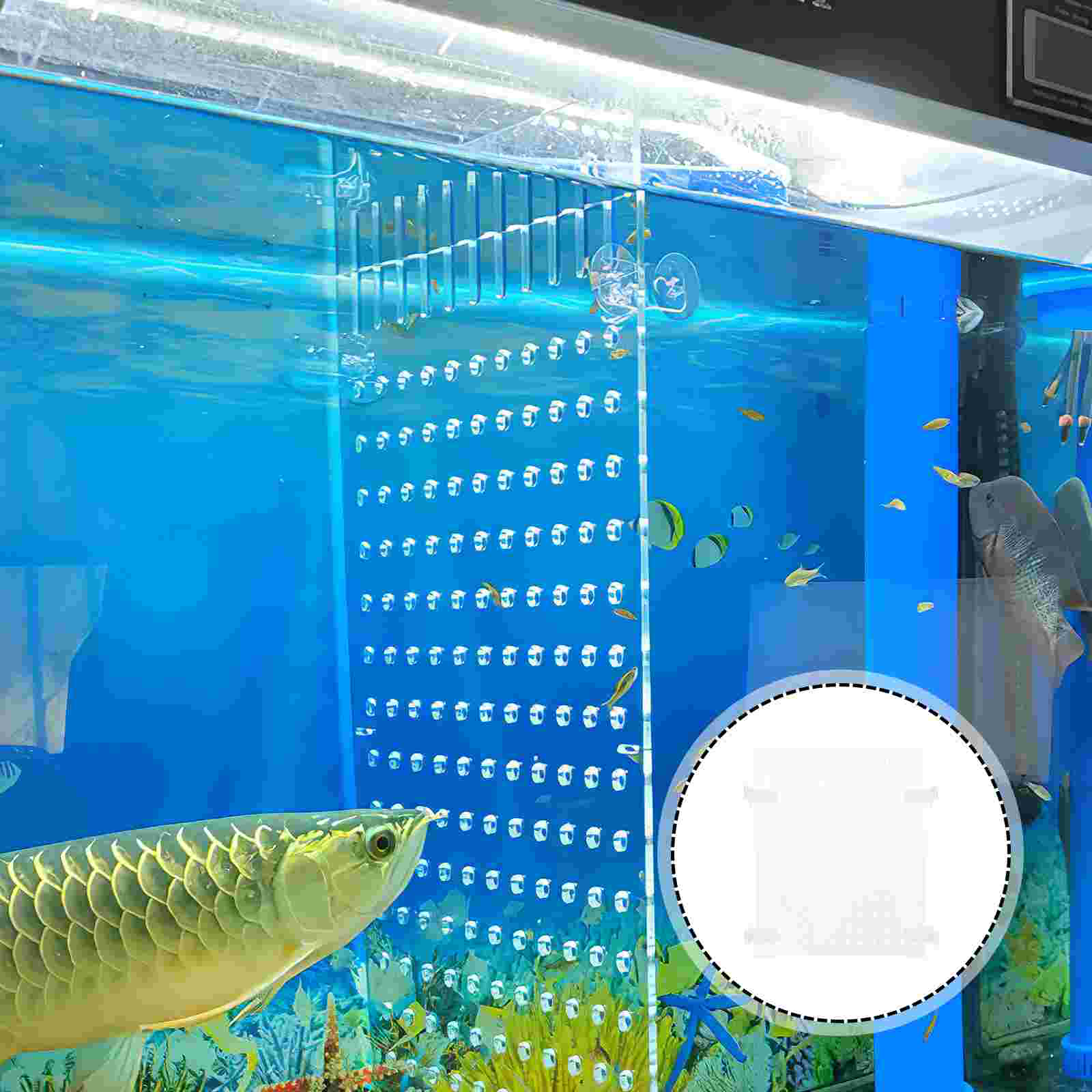 Fish Tank Isolation Board Divider Acrylic Partition Plate Accessory Suction Cup Aquarium Baby