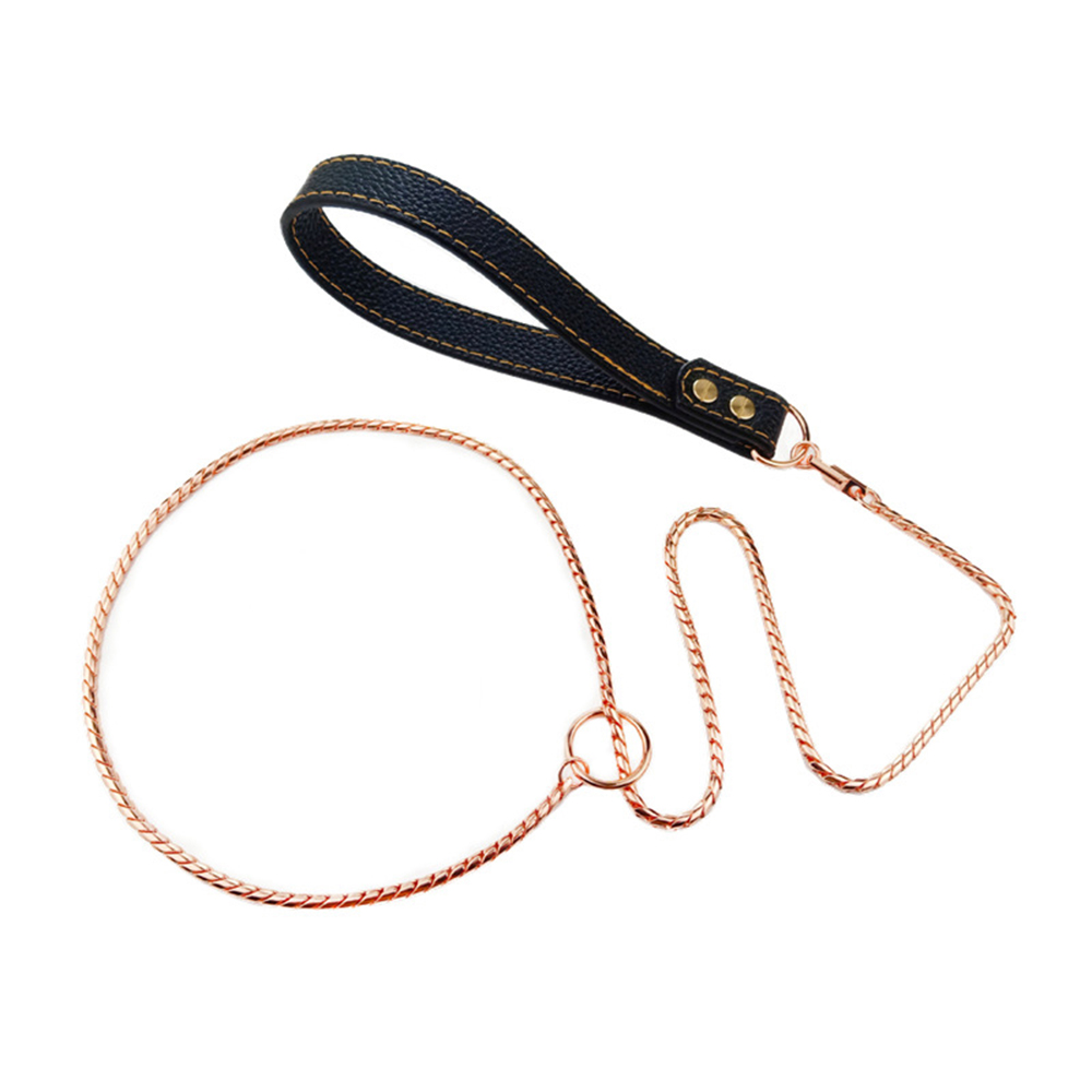 Stainless Steel Dog Slip Lead Dog Chain Leash for Small and Big Dogs No Pull Puppy Pet Training Leash Slip Chain Collar for Dogs