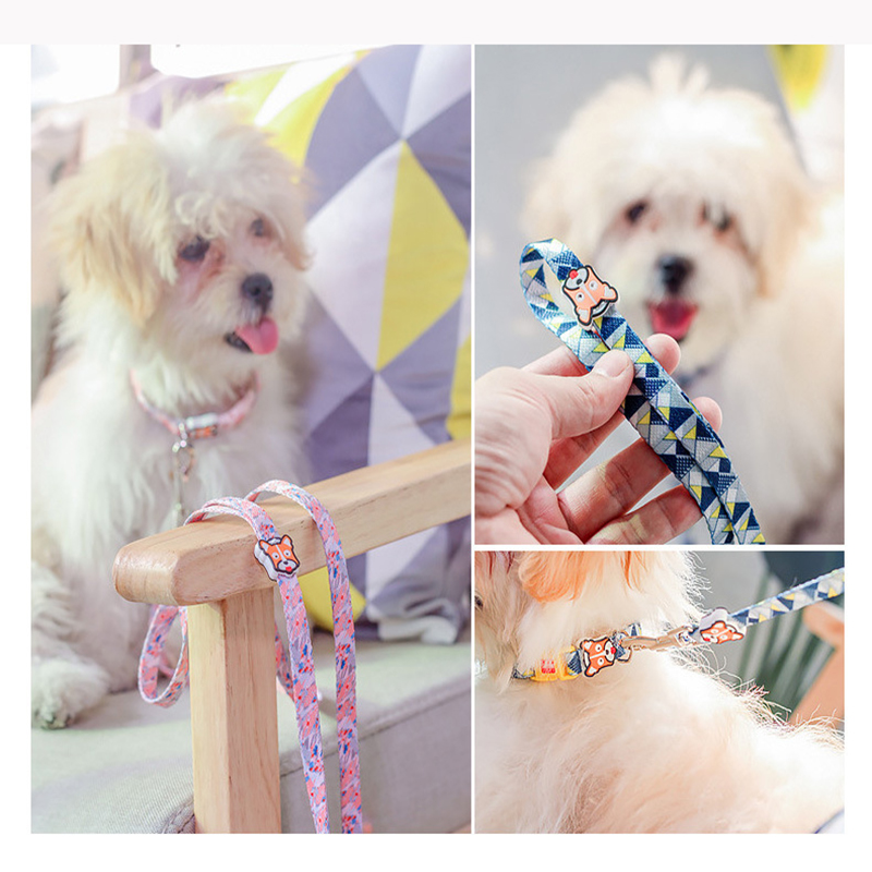 Nylon Pet Collar Adjustable Dog Collar with Cute Mouth-Lick Logo and Colorful High Strength Buckle for Small Medium Dogs & Cats