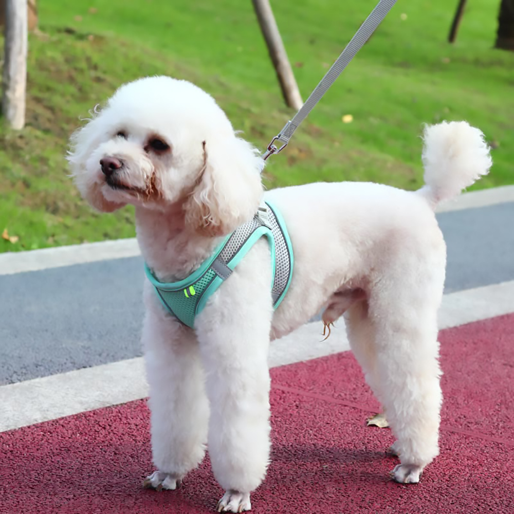 Cat Harness and Leash Set,Adjustable Escape Proof Kitten Vest Harness with Soft Mesh Reflective Pet Harness,Fit for Kitten,Puppy