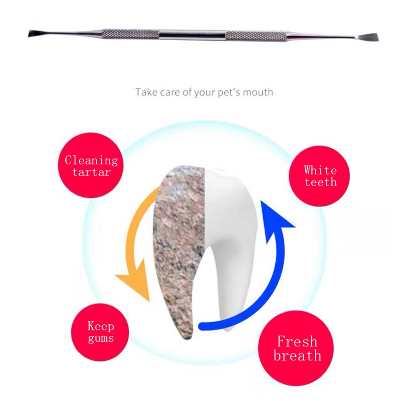 Pet Dog Tooth Cleaner Tartar Removers Scraper Stainless Steel Pet Oral Cleaning Tool Pet Dog Breath Fresher Accessories