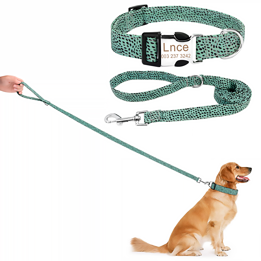 Dog Collar and Leash Set Combo Safety Set for Daily Outdoor Walking Running Training Small Medium Large Dog Custom Nameplate ID