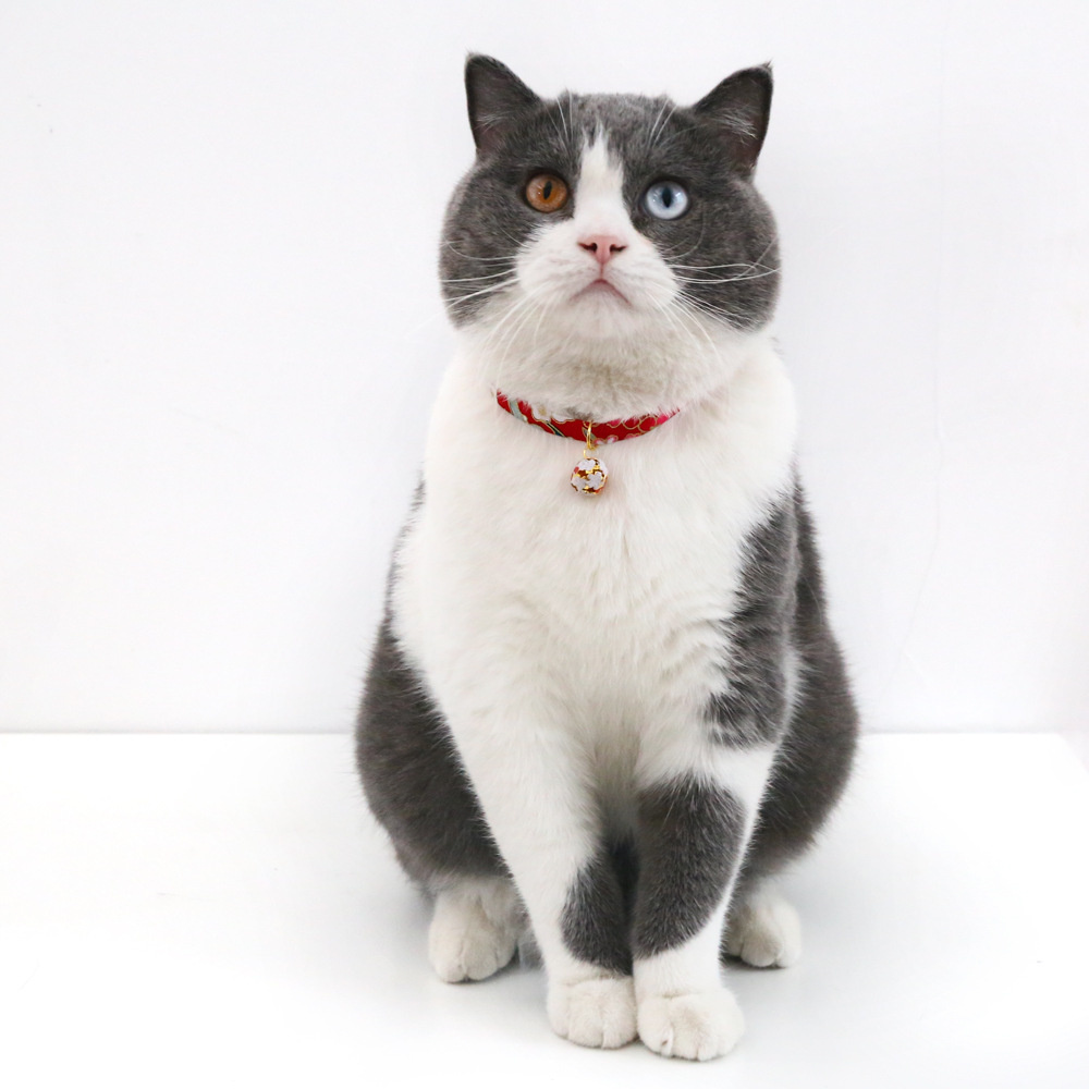 Kitten Collar Adjustable Kimono Printed Pet Collar with Metal Bell To Prevent Lost Pet Accessories Product for Cats and Puppies